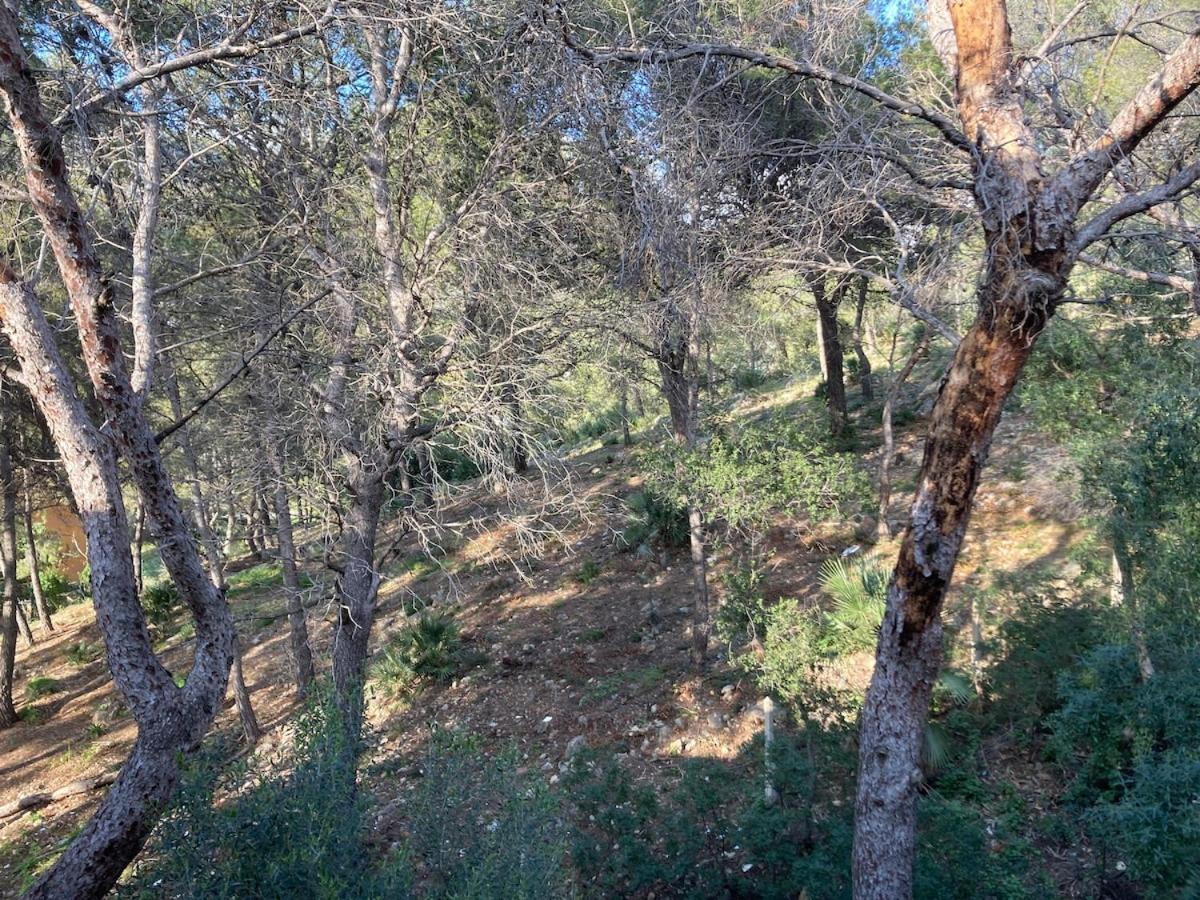 Apartamento Con Vistas Al Mar Castelldefels Exteriér fotografie